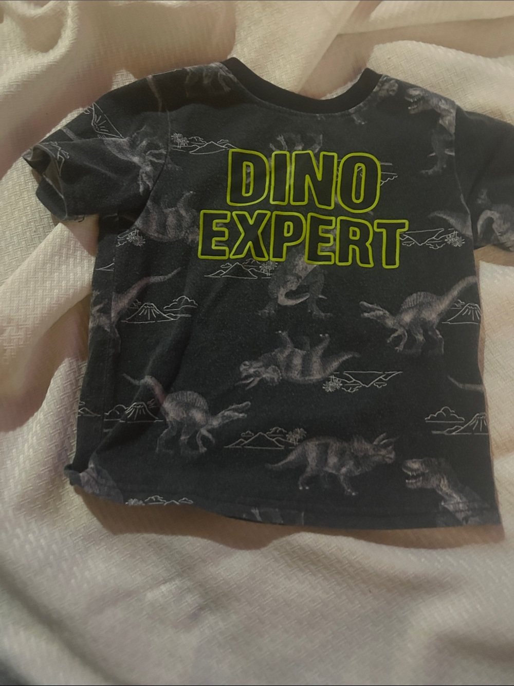 Garanimals Black 'Dino Expert' Short Sleeve Tee with Neon Green Text